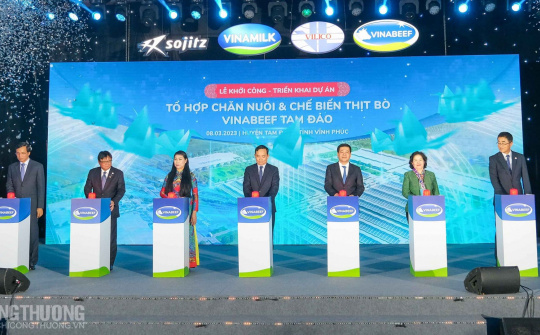 Vinamilk khởi công Tổ hợp chăn nuôi - chế biến bò thịt công nghệ cao tại Vĩnh Phúc