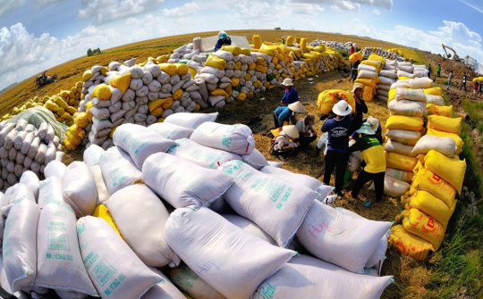 Giá gạo xuất khẩu Việt Nam tăng mạnh sau thông tin Indonesia sẽ nhập khẩu 2 triệu tấn gạo