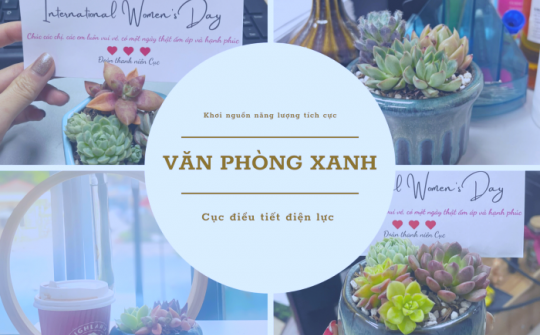 Cục Điều tiết điện lực: Văn phòng sáng - xanh - sạch, khơi nguồn năng lượng tích cực