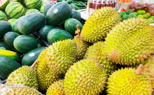 Ngành hàng rau, quả - điểm sáng của xuất khẩu những tháng đầu năm