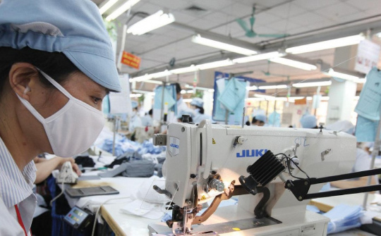 Sau khởi kiện Amazon, lợi nhuận năm 2023 của Xuất nhập khẩu Bình Thạnh dự kiến giảm 77%