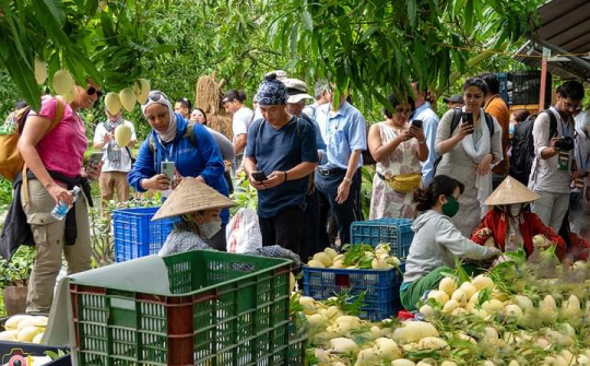 Sắp diễn ra Lễ hội Xoài Đồng Tháp năm 2023