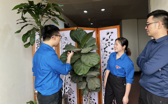 Vụ Pháp chế: 5 hoạt động thiết thực hưởng ứng phong trào "Công sở văn minh, xanh - sạch - đẹp"