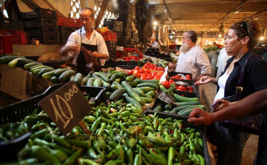 Những lưu ý khi xuất khẩu sang thị trường Algeria