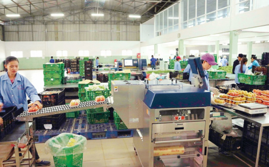 Hỗ trợ có thu hồi vốn - Bài học hay từ khuyến công tỉnh Lâm Đồng