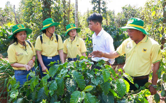 Phân bón Đầu Trâu góp phần nâng cao năng suất gắn với bảo vệ môi trường