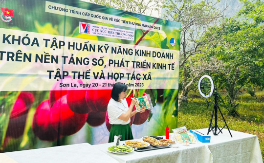 Tập huấn, hỗ trợ doanh nghiệp, hợp tác xã tỉnh Sơn La kinh doanh trên nền tảng số