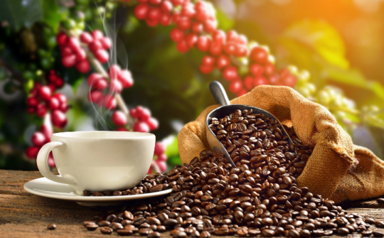 Giá cà phê ngày 22/4: Trong nước tăng nhẹ 100 đồng/kg, thế giới biến động trái chiều