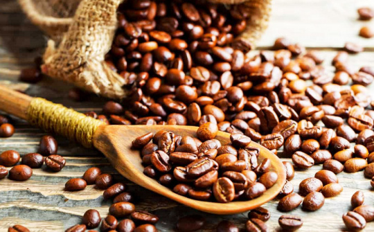 Giá cà phê ngày 25/4: Tiến sát mốc 52.000 đ/kg