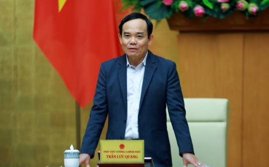 Chính phủ thành lập Ban Chỉ đạo xây dựng và quản lý vị trí việc làm trong cơ quan, tổ chức hành chính, đơn vị sự nghiệp công lập