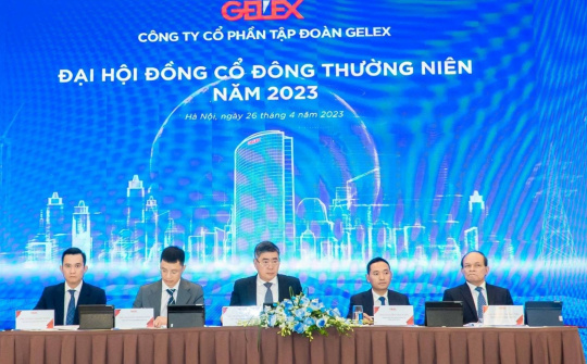 ĐHĐCĐ Tập đoàn GELEX: Sẽ đầu tư theo chiều sâu trong sản xuất công nghiệp