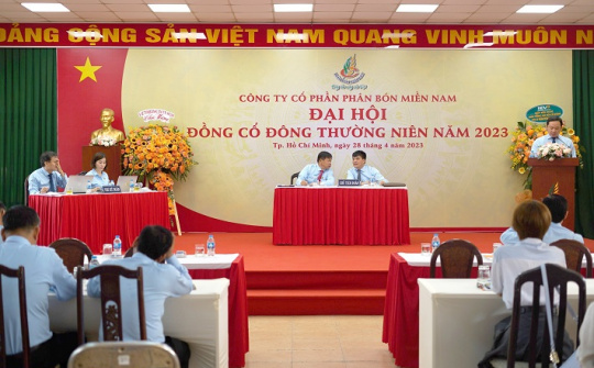 Phân bón miền Nam: Đánh giá nhu cầu thị trường để xác định chiến lược sản phẩm