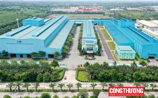 Tôn Phương Nam không bỏ cuộc