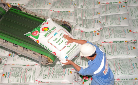 Đạm Cà Mau: Lợi nhuận quý 1/2023 giảm gần 85% khi giá phân bón sụt giảm mạnh