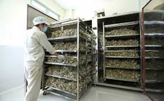 Điều khiển ổn định nhiệt độ lò sấy nông sản bằng bộ điều khiển thông minh