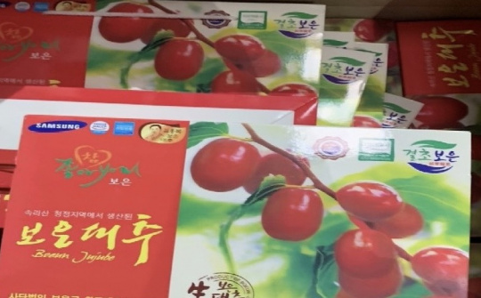 Hải Phòng khởi tố vụ án giả mạo táo đỏ Hàn Quốc