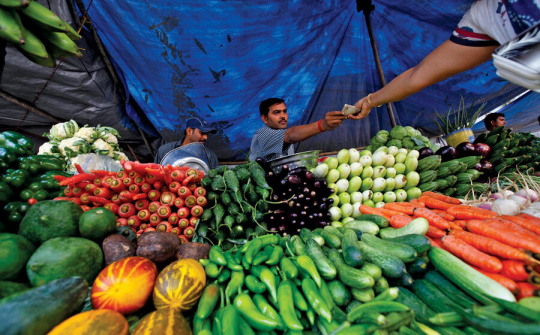 Giá lương thực thế giới giảm tháng thứ 12 liên tiếp