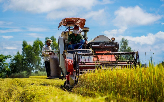 Giá gạo tăng thúc đẩy khu vực châu Á mở rộng sản xuất lúa gạo