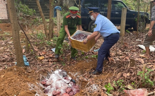 Phối hợp, ngăn chặn hàng tấn thực phẩm không nguồn gốc