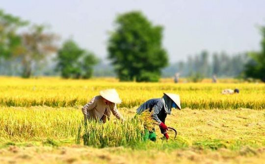 Thủ tướng yêu cầu chủ động các biện pháp ứng phó với nguy cơ nắng nóng, hạn hán, xâm nhập mặn