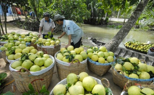 Kết nối doanh nghiệp tỉnh Trà Vinh với các sàn thương mại điện tử