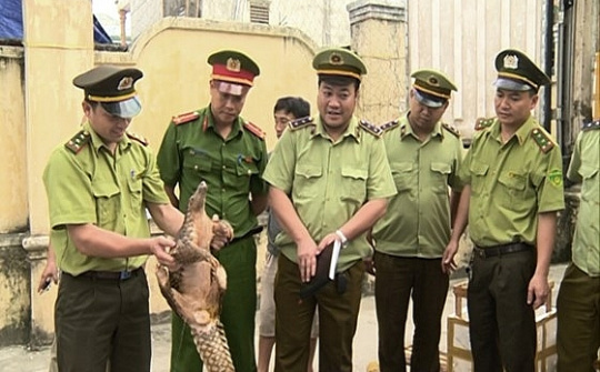 Đẩy mạnh truyền thông để bảo vệ các loài động vật hoang dã, quý hiếm