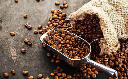 Giá cà phê ngày 16/5: Cao nhất vượt mốc 56.000 đồng/kg trong bối cảnh giá cà phê thế giới tăng vững