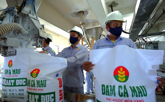 Đạm Cà Mau: Dự kiến chi cổ tức năm 2022 bằng tiền với tỷ lệ 30%, có thể triển khai dự án M&A trị giá 850 tỷ đồng