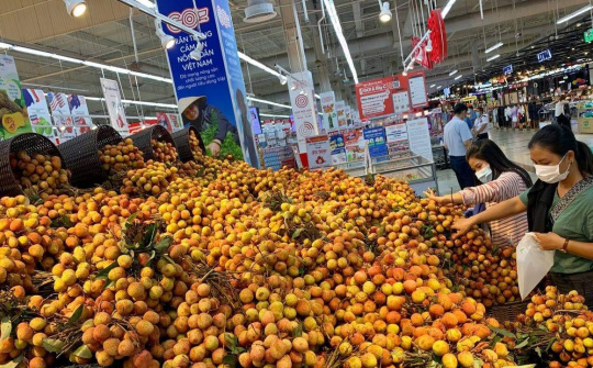 Hơn 300 tấn vải thiều Bắc Giang sẽ được tiêu thụ tại chuỗi của Central Retail