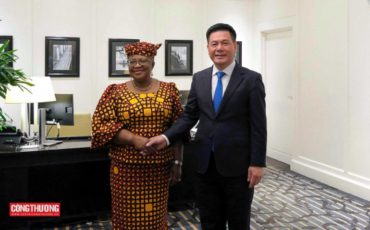 Tổng Giám đốc WTO: Việt Nam là "tấm gương sáng" về tăng trưởng kinh tế