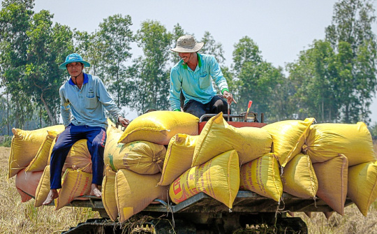 Thị trường lo ngại tác động của El Nino, giá gạo xuất khẩu Việt Nam và Thái Lan neo cao