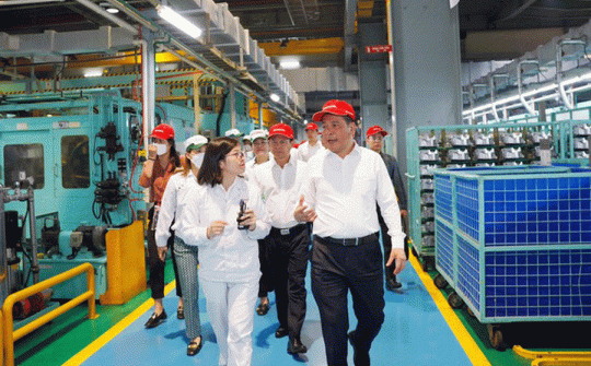 Hỗ trợ và kết nối để doanh nghiệp thích ứng được với sự thay đổi của thị trường và công nghệ