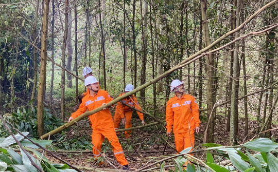 Bảo đảm hành lang an toàn lưới điện trên địa bàn tỉnh Thanh Hóa