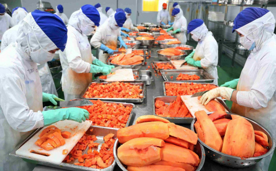 Một số giải pháp nâng cao hiệu quả kinh doanh của các doanh nghiệp xuất khẩu nông sản Việt Nam