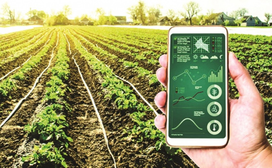 Phát triển nông nghiệp công nghệ cao: Kinh nghiệm ở một số quốc gia và bài học cho Việt Nam