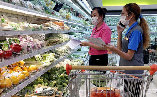 Doanh nghiệp thành lập mới khu vực dịch vụ tăng