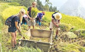 Phát triển bền vững du lịch cộng đồng ở Việt Nam hiện nay