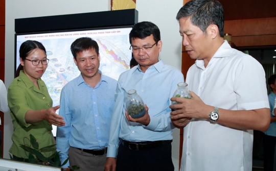 Cần nâng cao chất lượng, hiệu quả kinh tế rừng