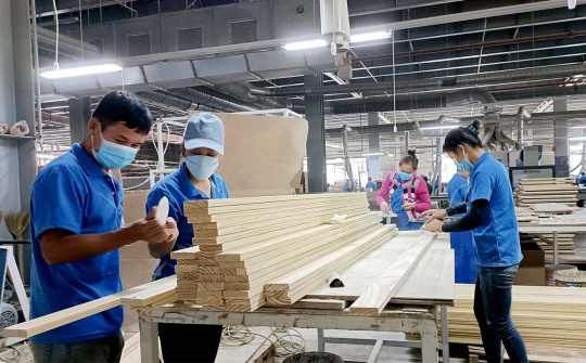 EU thông báo quy định mới đối với một số sản phẩm liên quan đến phá rừng và suy thoái rừng