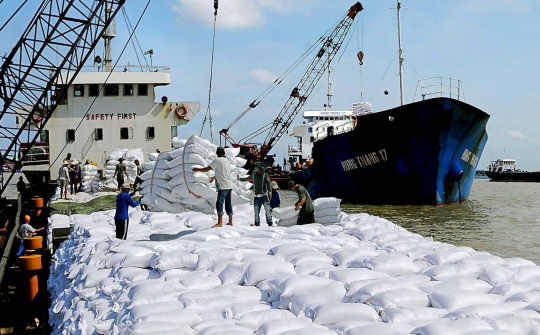 Giá gạo xuất khẩu Việt Nam ổn định, tăng trưởng xuất khẩu cao nhất 10 năm trở lại đây