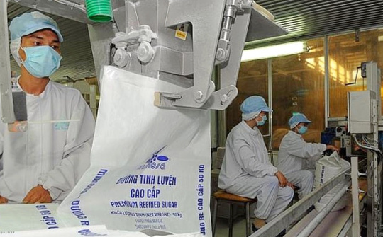 Thành Thành Công-Biên Hòa: Phát hành hơn 67 triệu cổ phiếu trả cổ tức, kỳ vọng hưởng lợi từ giá đường tăng cao