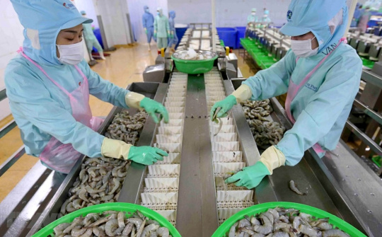 Thủy sản Minh Phú sẽ hợp tác với cơ quan nghiên cứu Chính phủ Úc xây dựng trung tâm nghiên cứu tôm