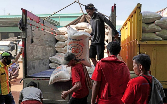 USDA: Dự trữ gạo toàn cầu có thể giảm 5% trong năm nay