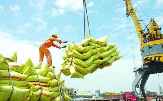 Xuất khẩu nông, thủy sản 5 tháng: Động lực dẫn dắt từ khu vực châu Á