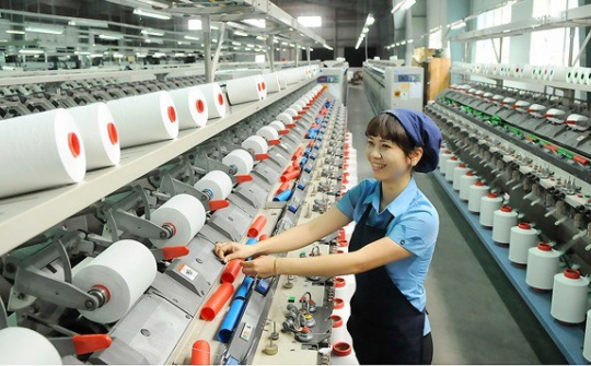 Tổng Công ty Việt Thắng (TVT): Thanh toán cổ tức năm 2022 bằng tiền tỷ lệ 25%