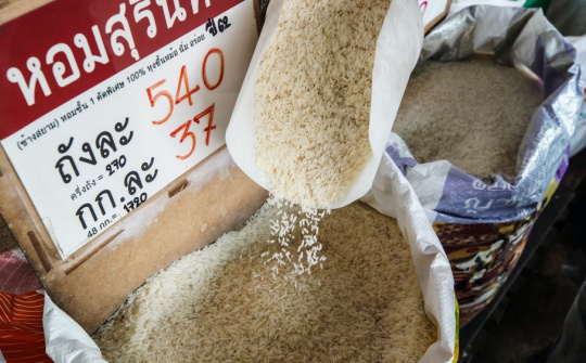 Thái Lan: Xuất khẩu gạo có thể vượt 8 triệu tấn, nhiều nước đang tích trữ gạo để đối phó El Nino