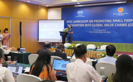 Thúc đẩy nông dân và hộ sản xuất nhỏ tham gia chuỗi giá trị toàn cầu