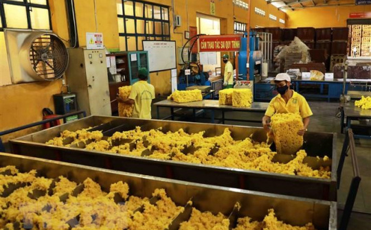 Nhu cầu tăng cao, xuất khẩu cao su tự nhiên có nắm được cơ hội bứt phá?