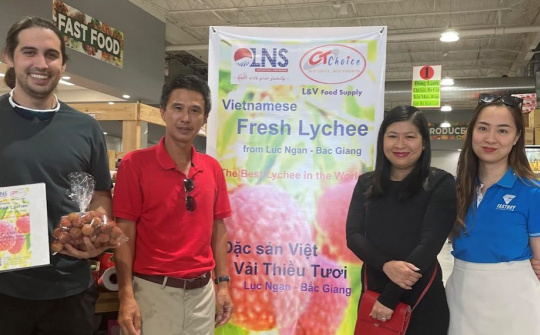 Vải thiều tươi Việt Nam đã có mặt tại thị trường Hoa Kỳ