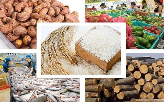 Một số tác động của thực thi Hiệp định Thương mại tự do EU - Việt Nam (EVFTA) đối với nông sản xuất khẩu